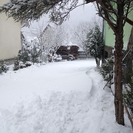 Pensiunea Panorama BaileTusnad Esterno foto